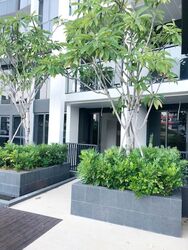 Botanique At Bartley (D19), Condominium #484960421